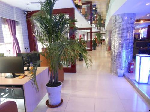 石家庄网吧最新爆料,揭秘最新爆料背后的行业变革  第2张